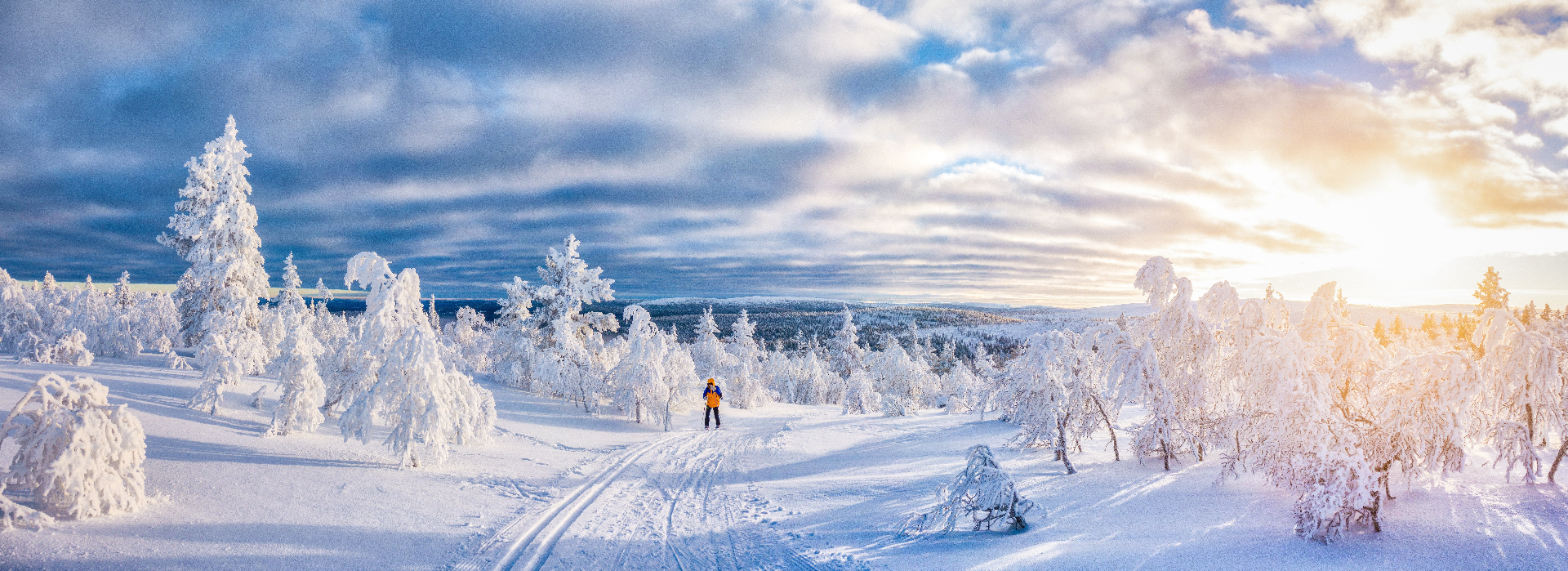 Swedish Lapland
